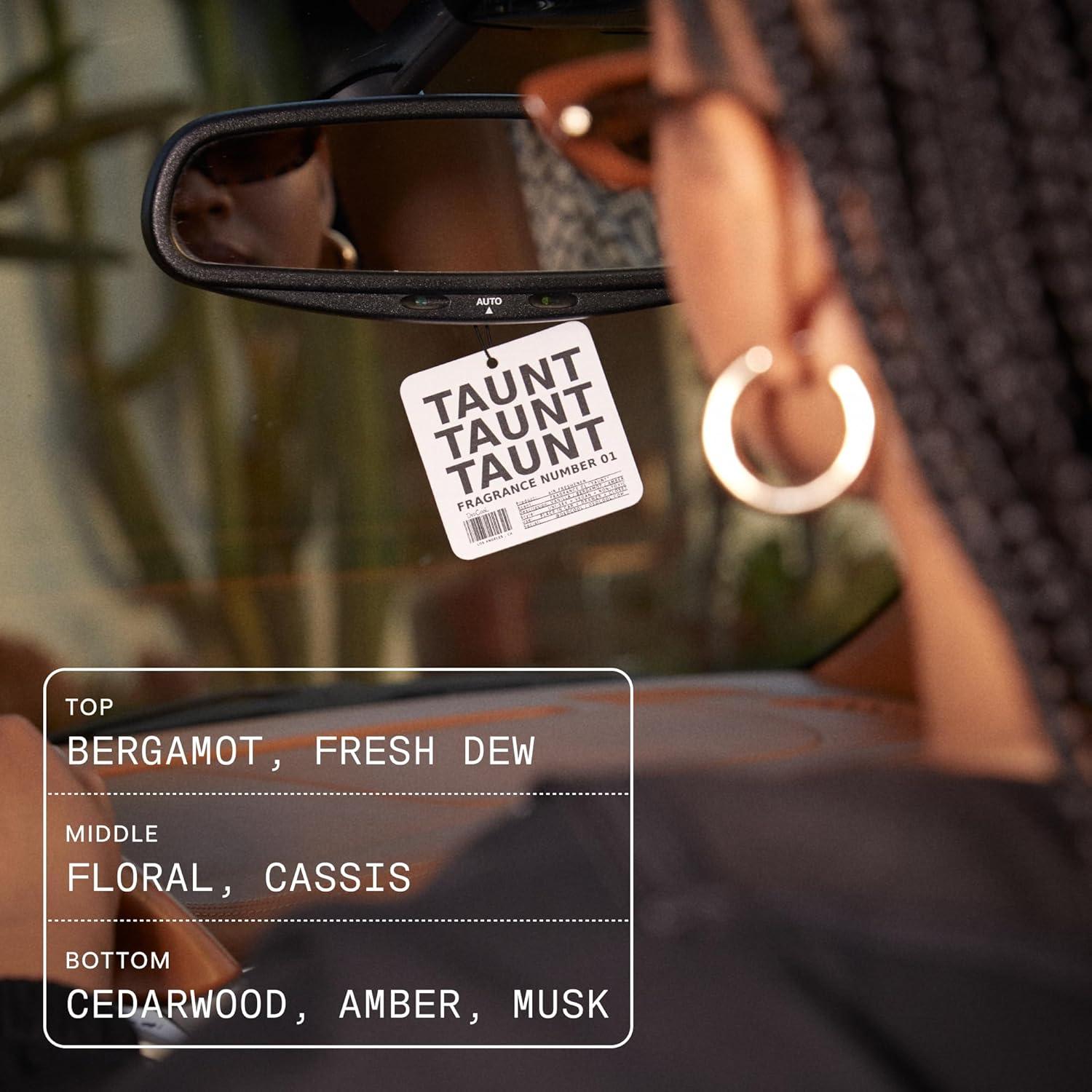 image:imageDedCool Air Freshener 01 Taunt For Cars Closets amp Drawers Hanging Odor Eliminator LongLasting Scent Infused with Essential Oils Vegan NonToxic CrueltyFree Fragrance For All01 Taunt